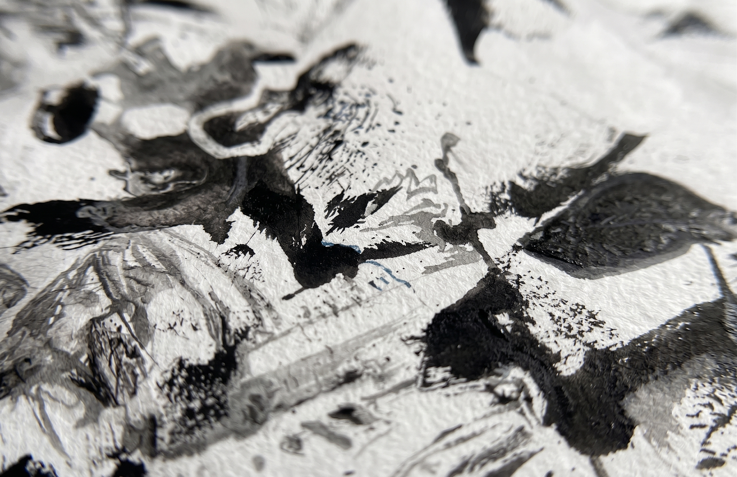Blanco y negro 3